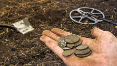 xp-metal-dedektoru-ile-degerli-para-kalinti-sikke-bulmanin-akilli-yolu