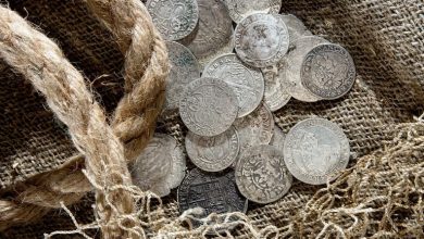 altin-ve-tarihi-sikke-aramalarinda-en-iyi-secim-xp-deus-ve-xp-orx-dedektorleri