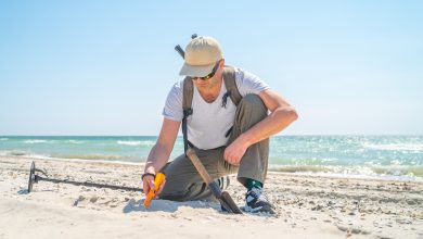 xp-dedektor-modelleri-2025-xp-deus-2-orx-ve-ws6-detayli-karsilastirma